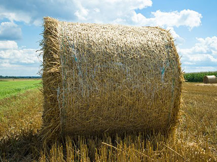 山东麦草草捆对宠物的核心益处!