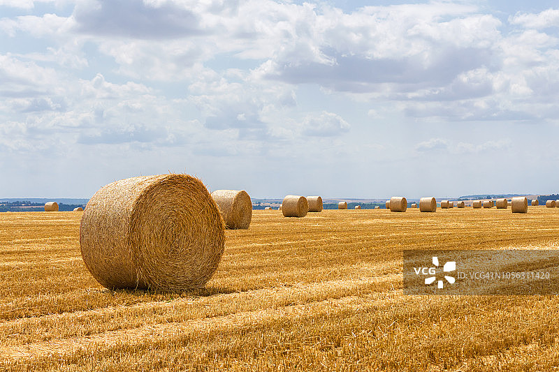 潍坊秸秆综合利用技术—饲料化