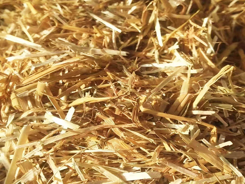山东秸秆草料