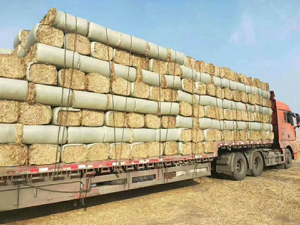 潍坊我国农作物秸秆饲料化利用技术