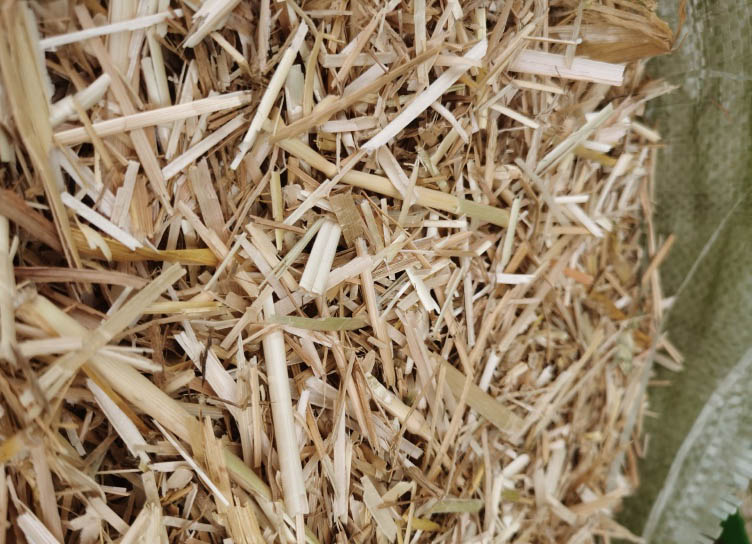 山东秸秆草料